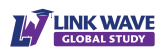 Link Wave Global Study