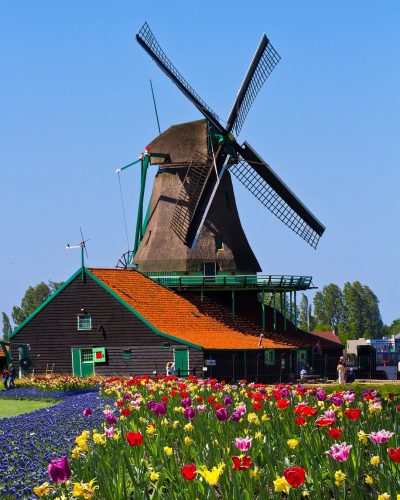 windmill-858143_1280